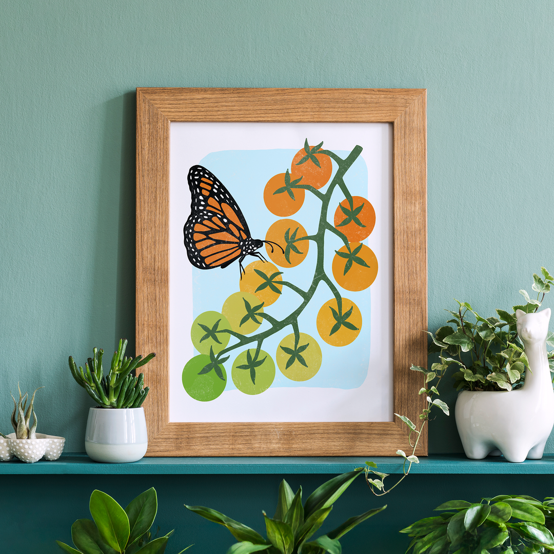 "Ripening" – Monarch Butterfly Sungold Tomato 8x10 Print
