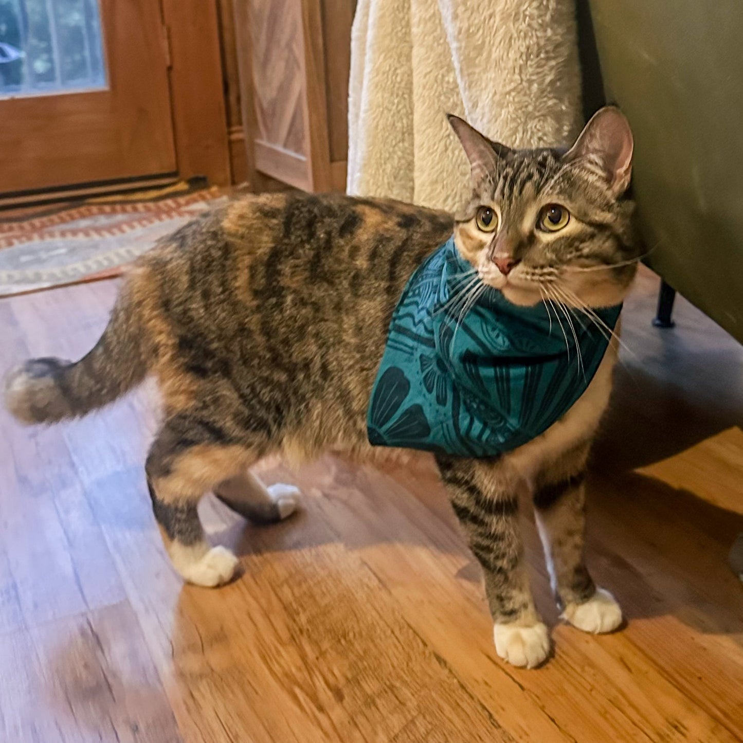 Loon Bandana - Amber Share Design -