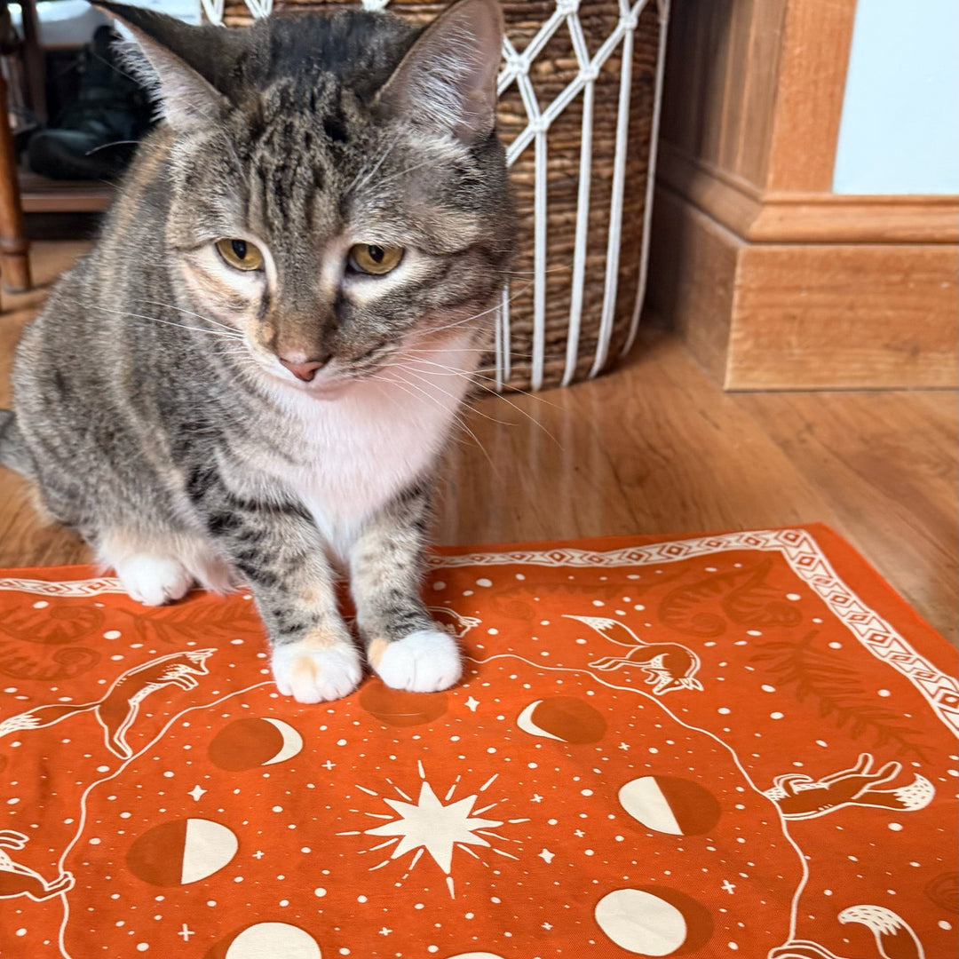 Fox Bandana - Amber Share Design - 