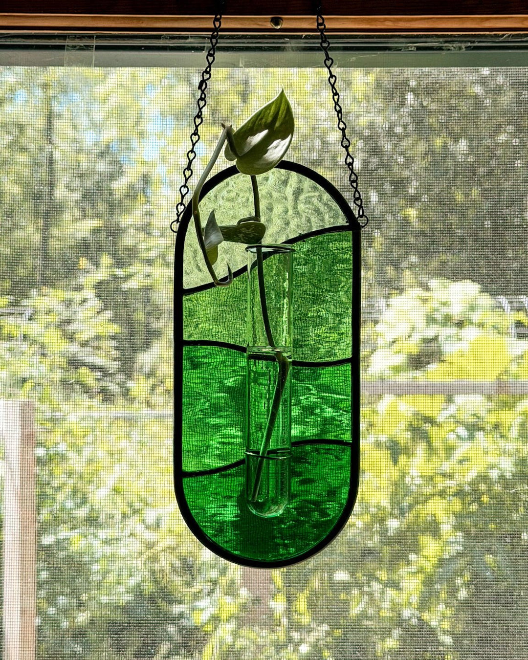 Plant Propagator Stained Glass Suncatcher - Amber Share Design-Green - 