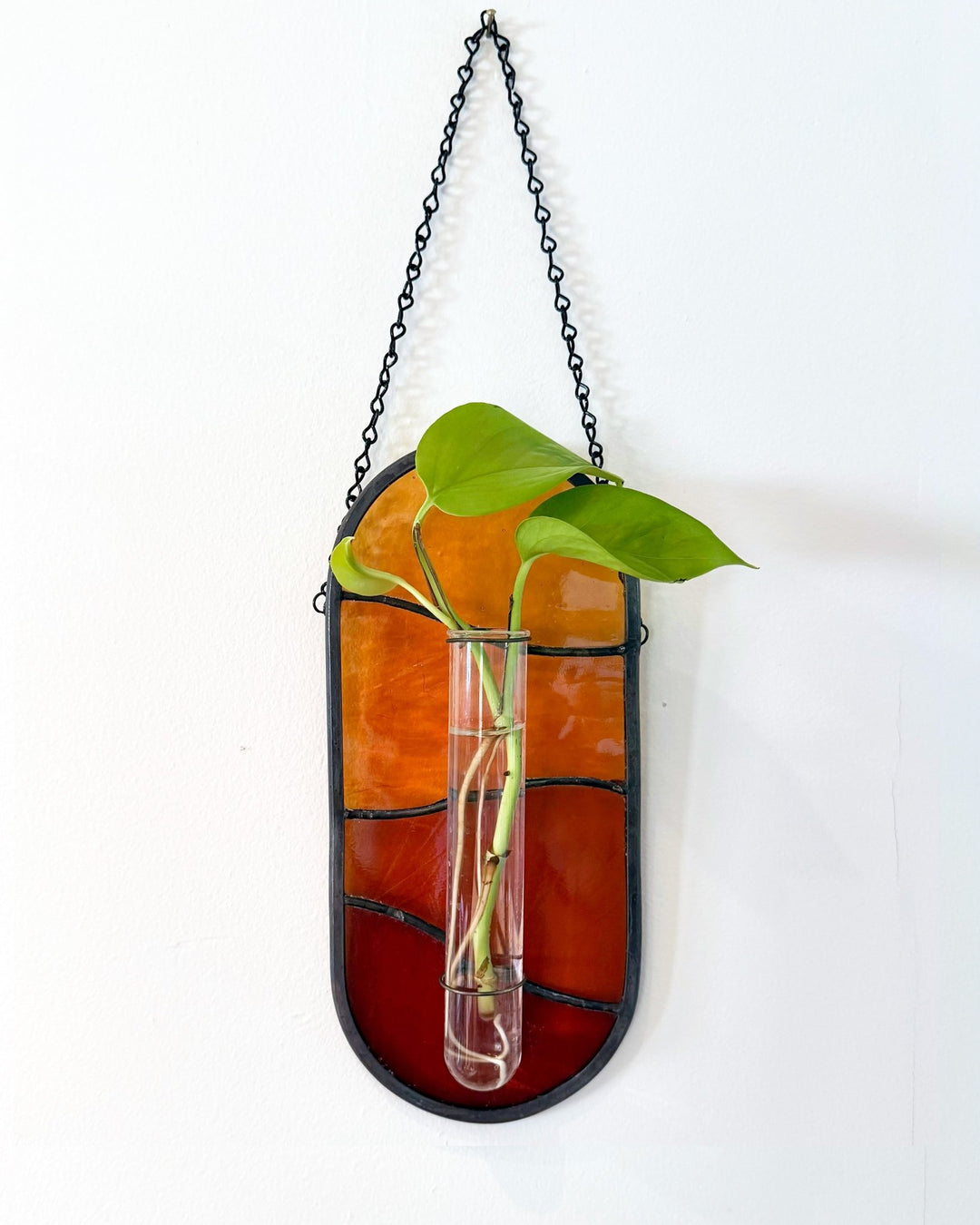 Plant Propagator Suncatcher - Amber Share Design - Amber - 