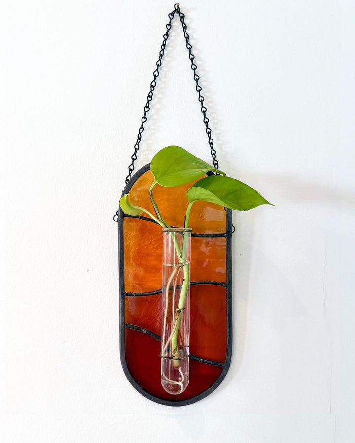 Plant Propagator Suncatcher - Amber Share Design - Amber - 