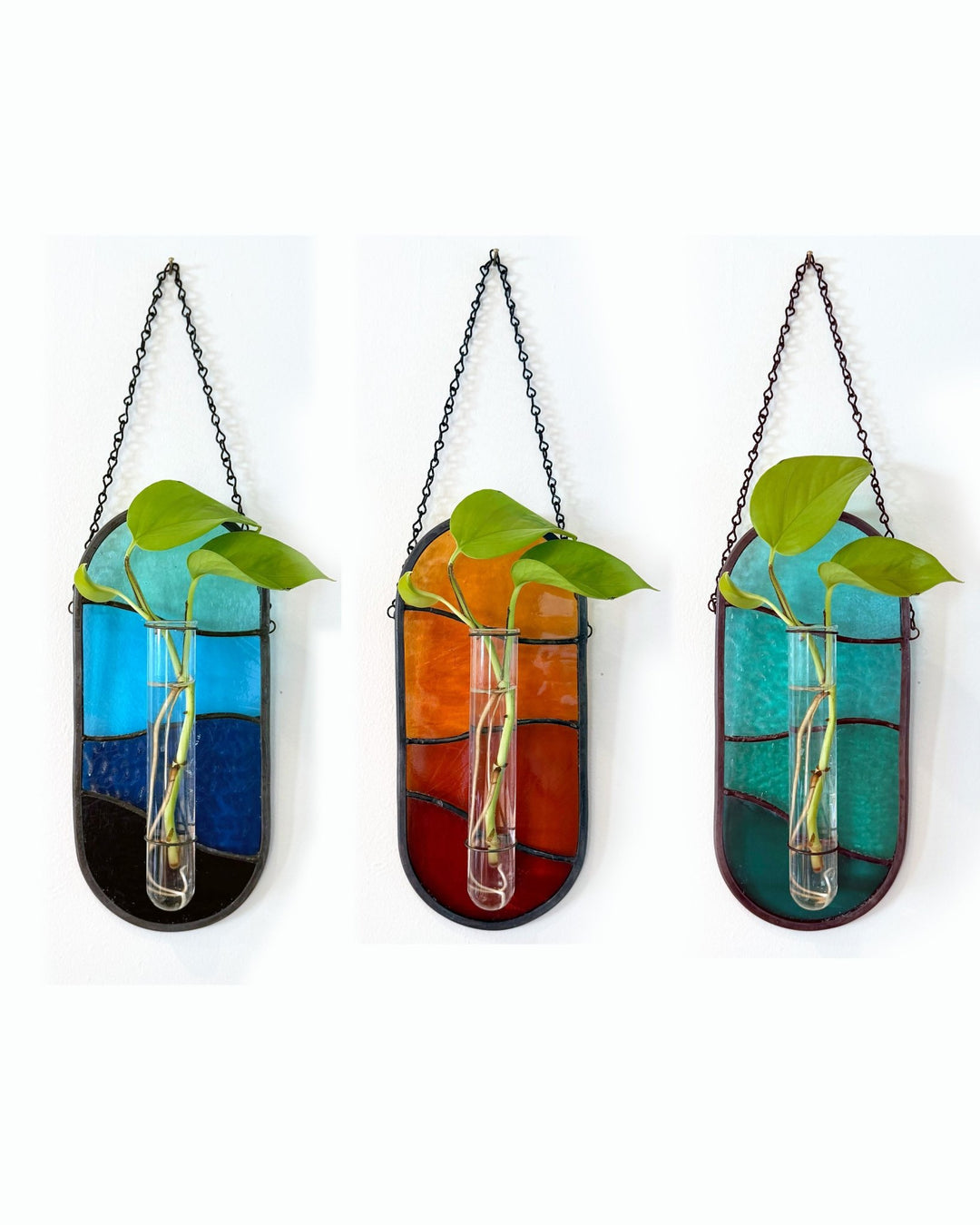 Plant Propagator Suncatcher - Amber Share Design - Blue - 