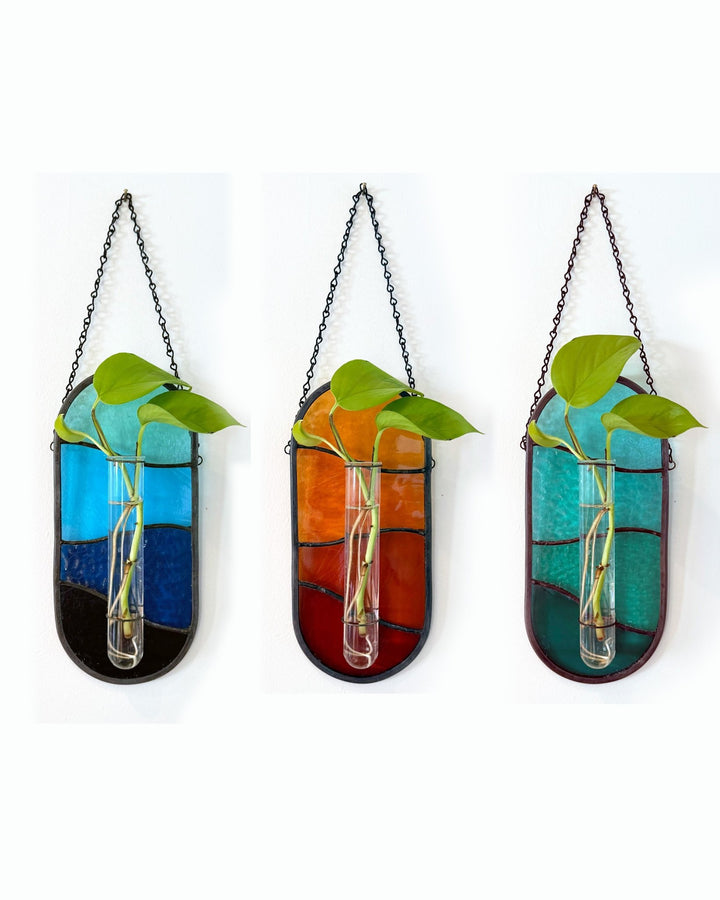 Plant Propagator Suncatcher - Amber Share Design - Blue - 