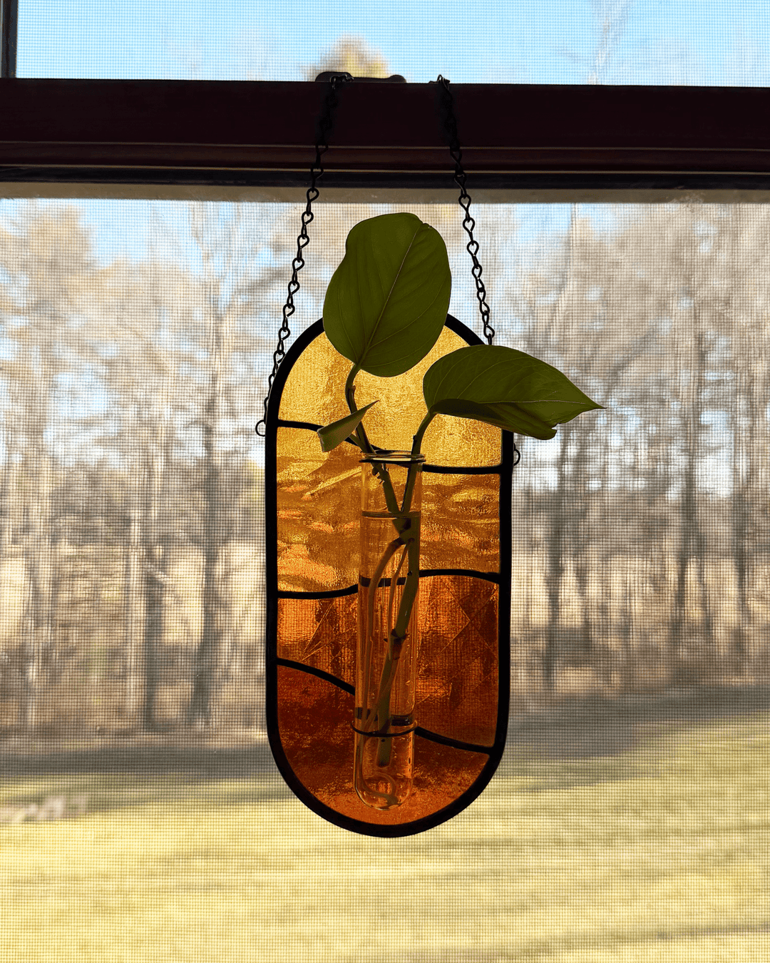 Plant Propagator Suncatcher - Amber Share Design - Blue - 