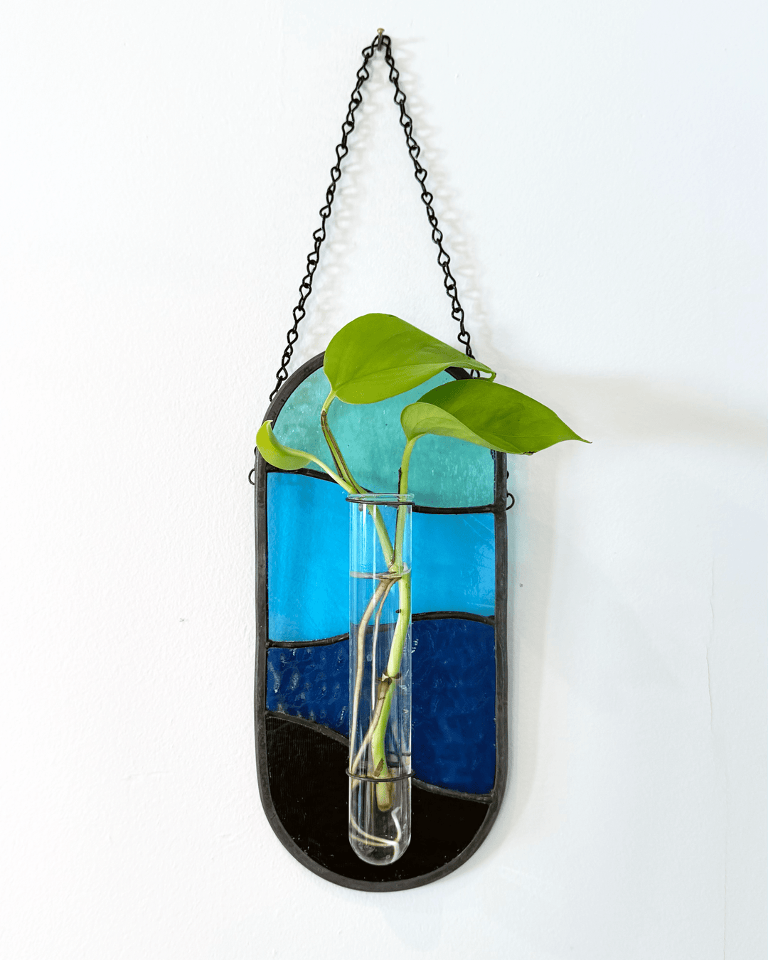 Plant Propagator Suncatcher - Amber Share Design - Blue - 