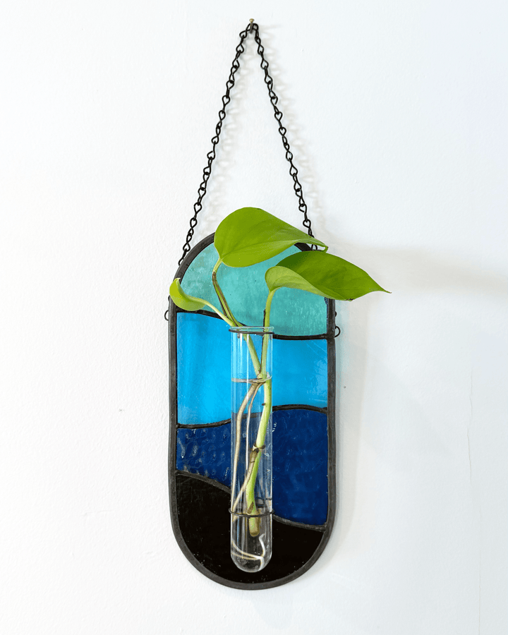 Plant Propagator Suncatcher - Amber Share Design - Blue - 