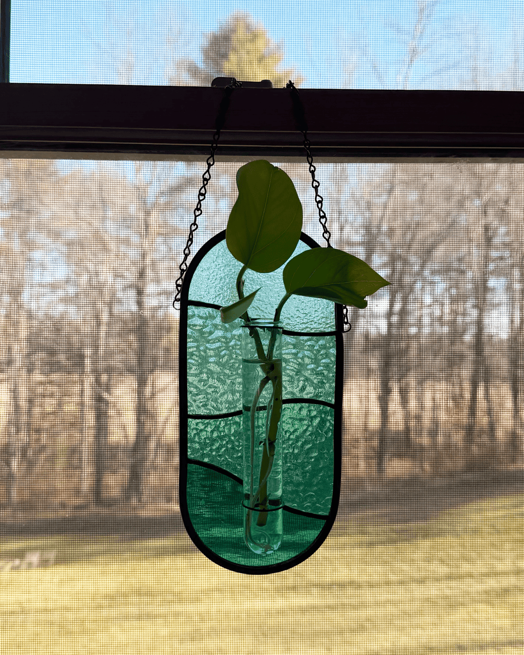 Plant Propagator Suncatcher - Amber Share Design - Blue - 