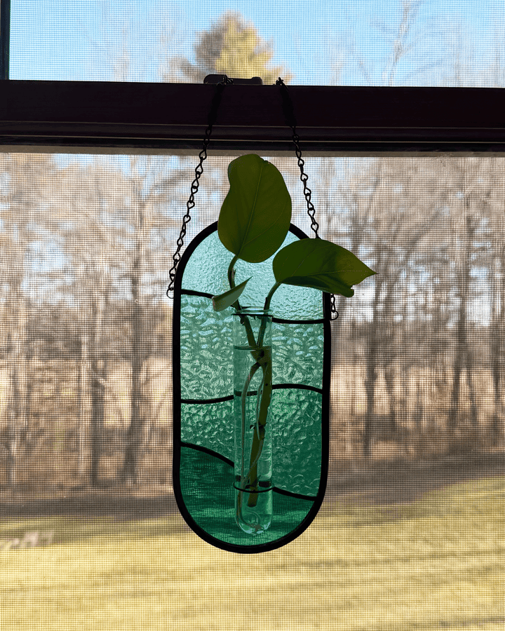 Plant Propagator Suncatcher - Amber Share Design - Blue - 