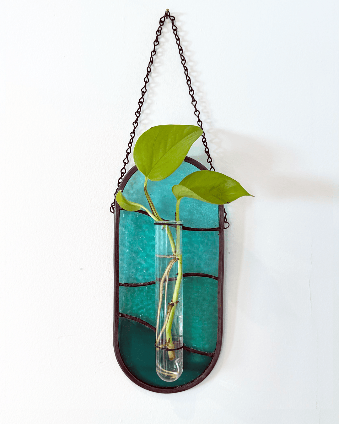 Plant Propagator Suncatcher - Amber Share Design - Teal - 