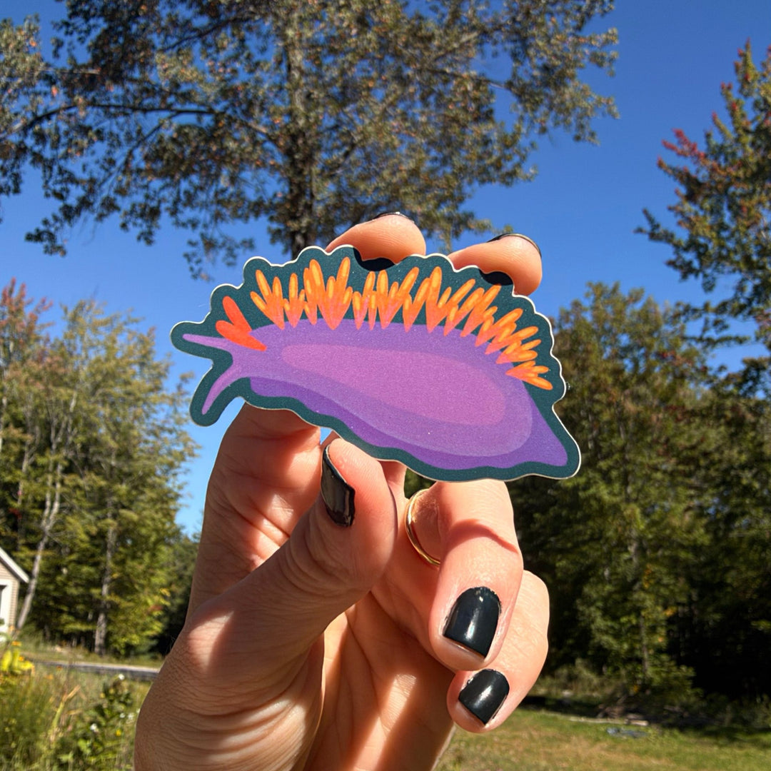 Spanish Shawl Nudibranch Vinyl Sticker - Amber Share Design - 
