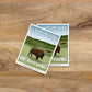 Subpar Parks American State & Local Parks Sticker (Singles) - Amber Share Design-Custer State Park (SD)--